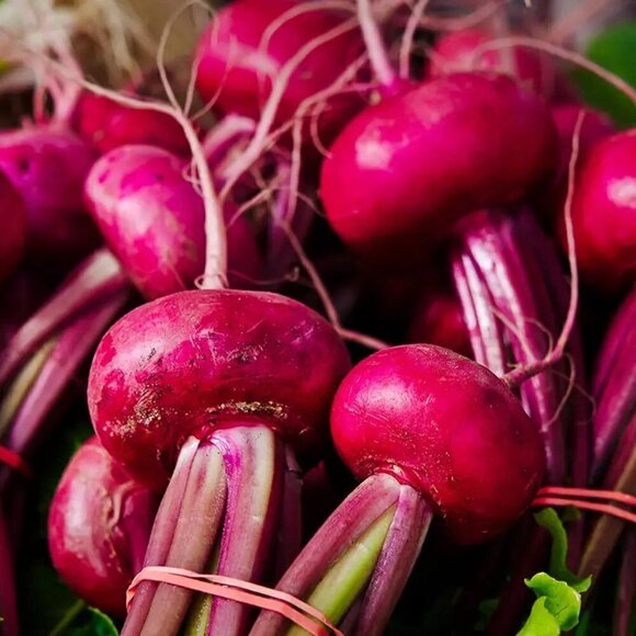 BYROE Beet PHA Serum 10ml Mini Travel Size - Picture 7 of 7